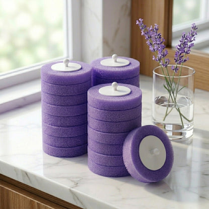 Bürstenkopf - Lavander